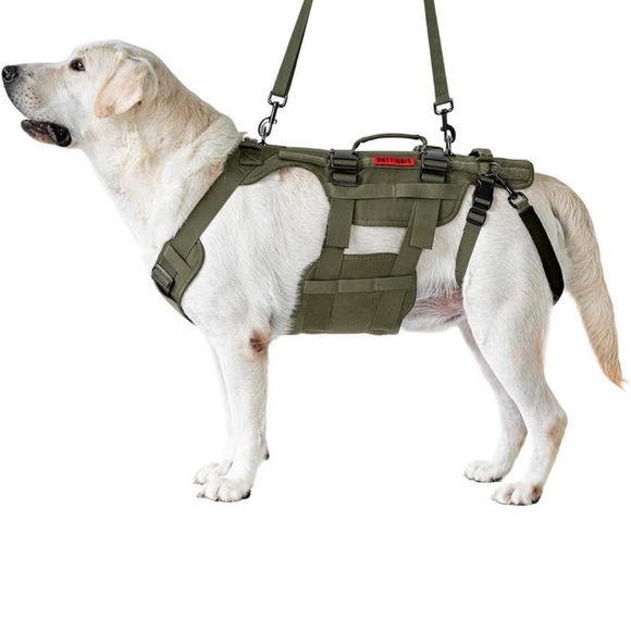 Lifting Dog Harness by - Green